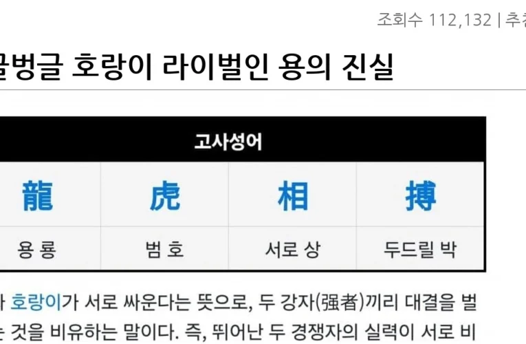 싱글벙글 호랑이 라이벌인 용의 진실